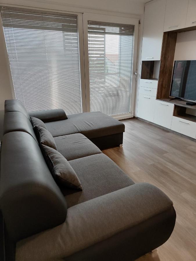 Family Apartment Moravske-Toplice Exteriör bild