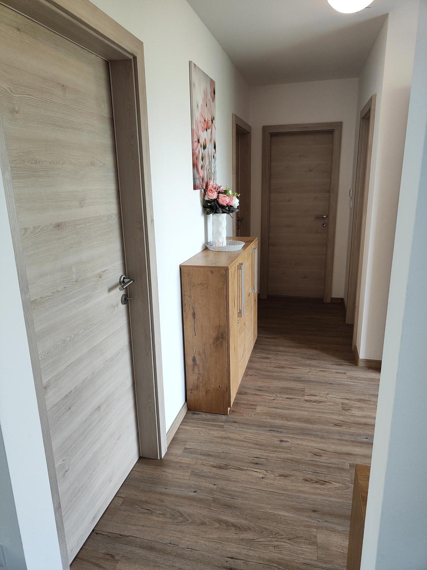 Family Apartment Moravske-Toplice Exteriör bild